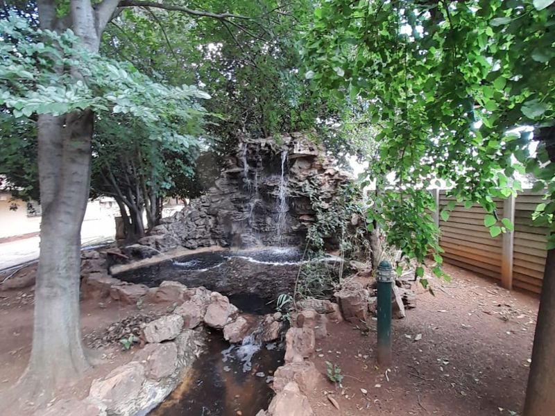 This magnificent 2.5ha plot in Vanderbijlpark offers so much, you'll have to see it!! - Photo 8