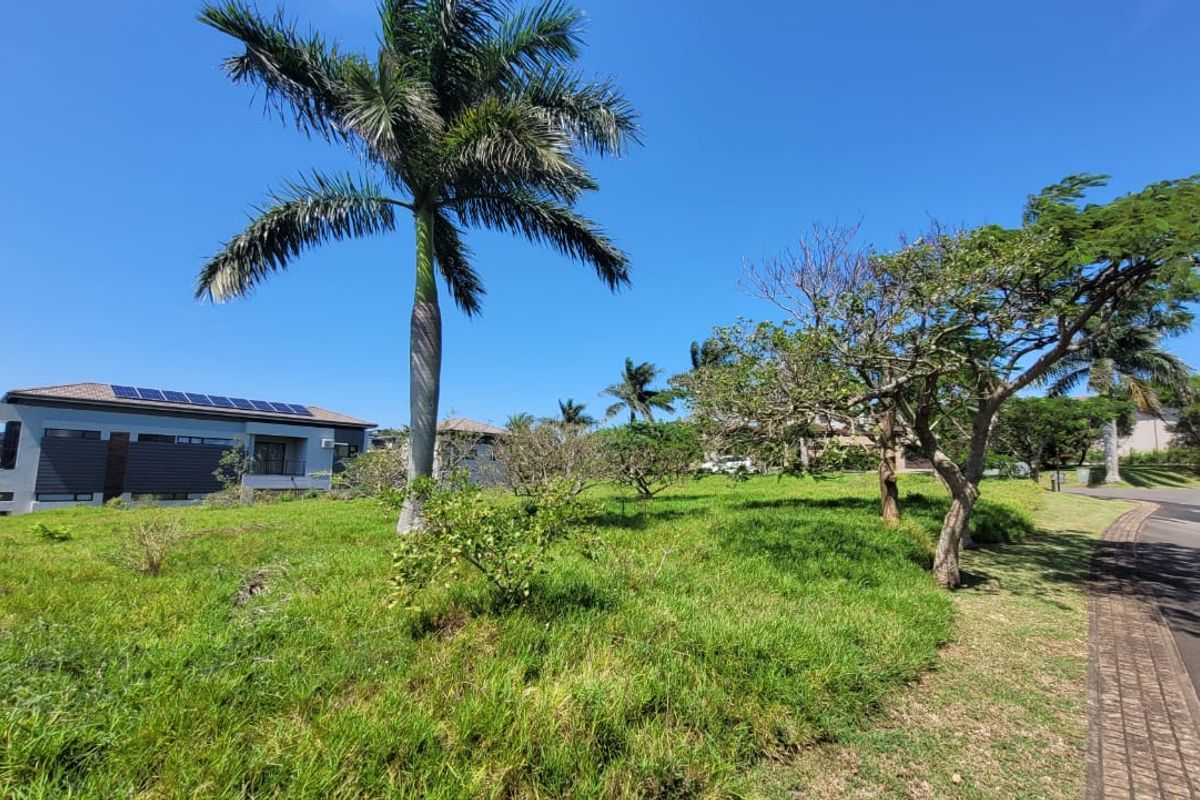 Build your dream Home in Palm Lakes Estate - Photo 3