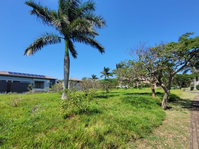 A view of a vacant residential plot featuring established palm trees, green grass, and paved street access in a developed estate setting.