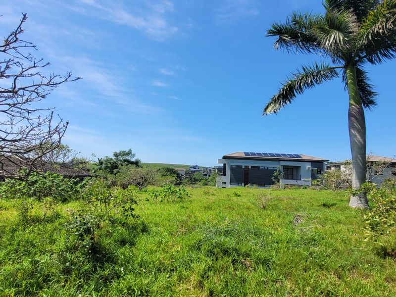 A view of a vacant residential plot featuring established trees and surrounding neighborhood homes in the distance.