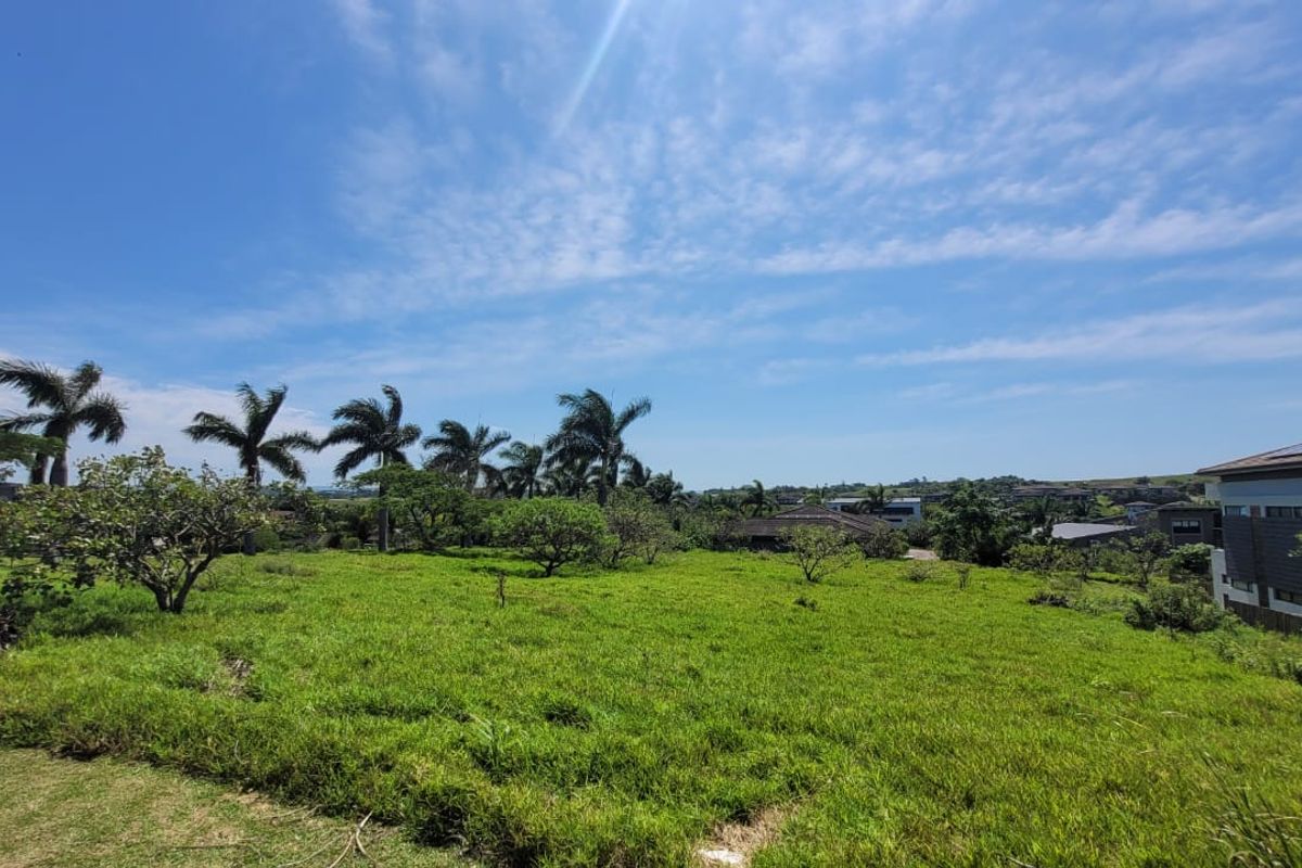 A view of the vacant residential land featuring established trees and surrounding neighborhood scenery.