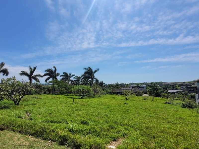 A view of the vacant residential land featuring established trees and surrounding neighborhood scenery.