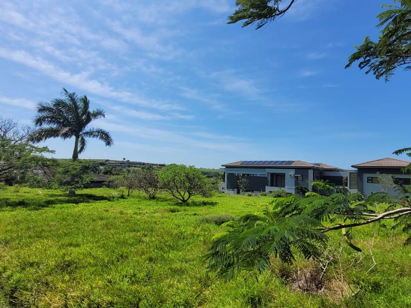 A view of a vacant residential plot featuring lush green grass, mature trees, and a neighboring modern home with solar panels in the distance.