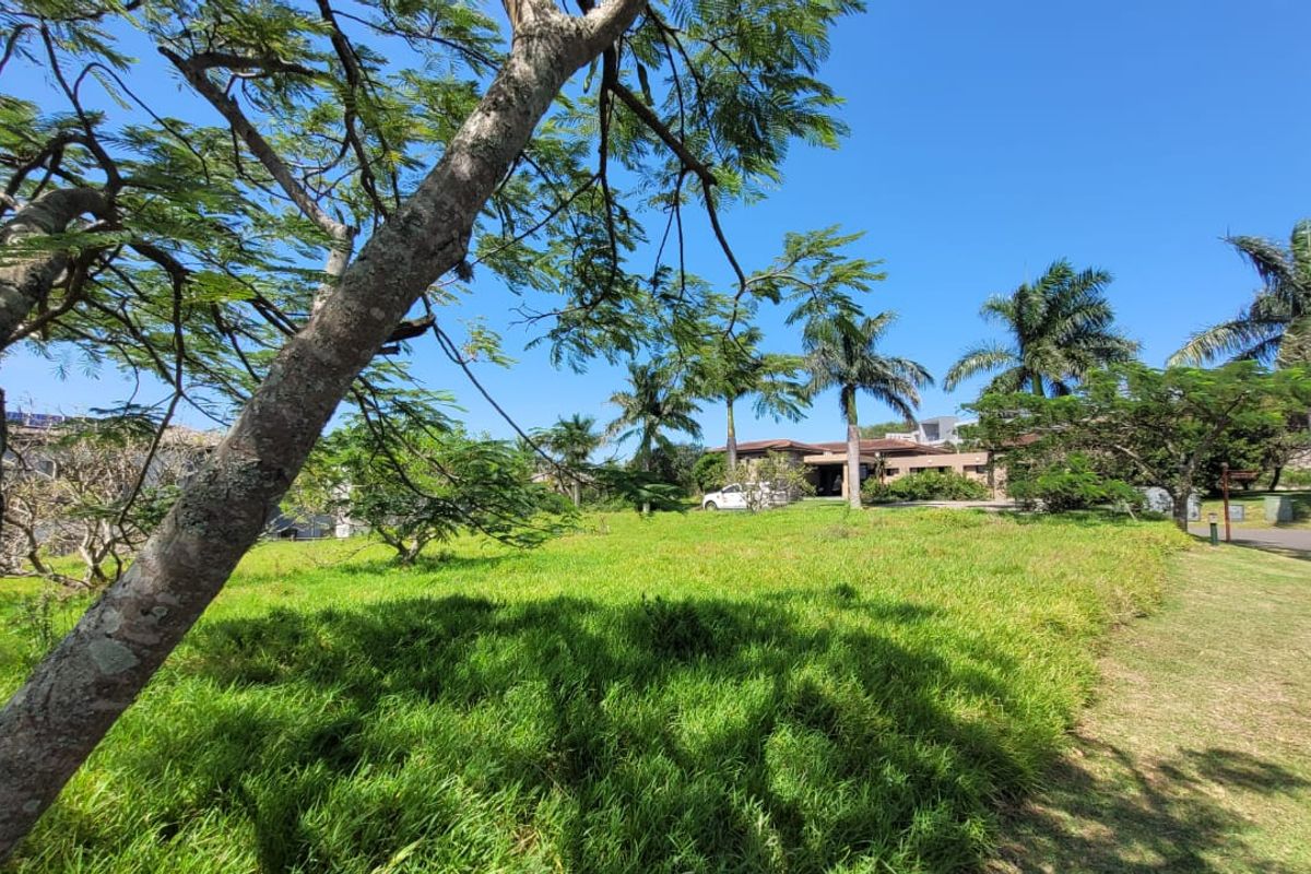 A view of a vacant residential plot featuring established trees, lush green grass, and paved access, set within a landscaped estate environment.