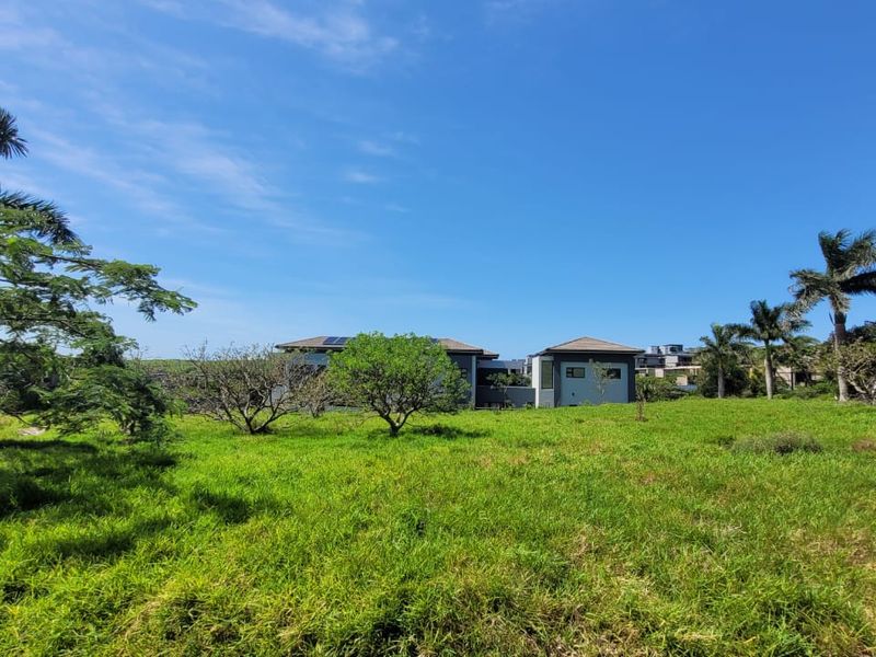 A view of a vacant residential plot featuring lush green grass, mature trees, and surrounding established residential properties in the distance.