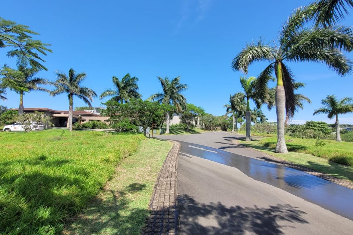 A view of a paved residential street lined with mature palm trees and manicured green lawns within a well-maintained estate.