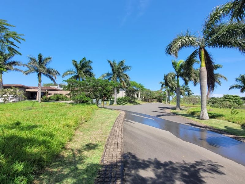 A view of a paved residential street lined with mature palm trees and manicured green lawns within a well-maintained estate.