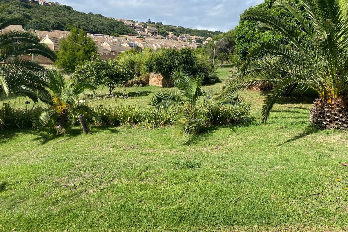 A well-maintained residential garden featuring established lawn, mature palm trees, and lush greenery with a view of the surrounding hillside neighborhood.