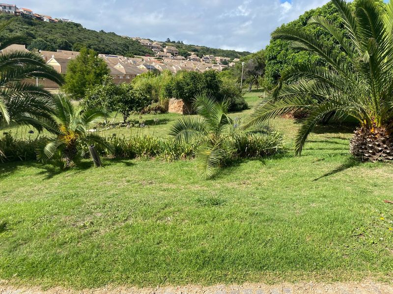 A well-maintained residential garden featuring established lawn, mature palm trees, and lush greenery with a view of the surrounding hillside neighborhood.