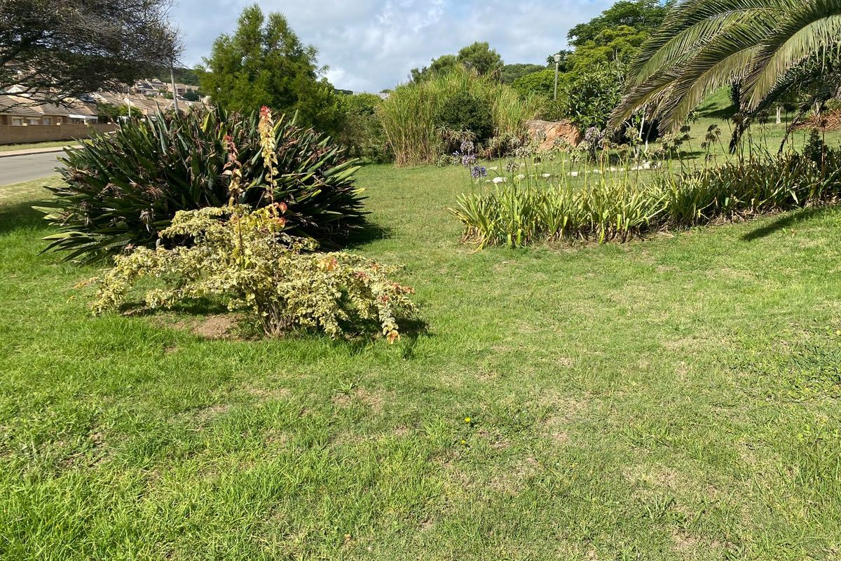 A well-maintained residential garden area featuring established lawn, mature shrubs, and palm trees in a sunny outdoor setting.