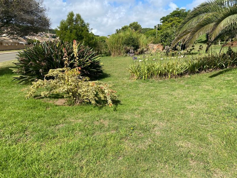 A well-maintained residential garden area featuring established lawn, mature shrubs, and palm trees in a sunny outdoor setting.