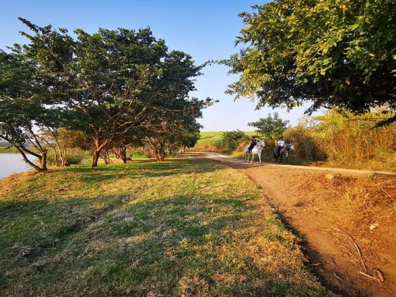 Direct from the Developer - No Transfer Duty - Photo 10