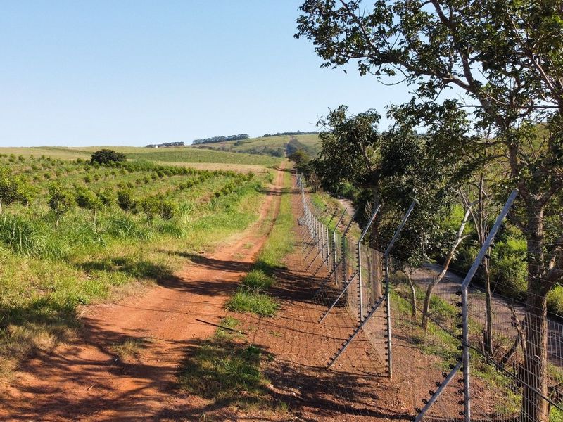 Direct from the Developer - No Transfer Duty - Photo 8