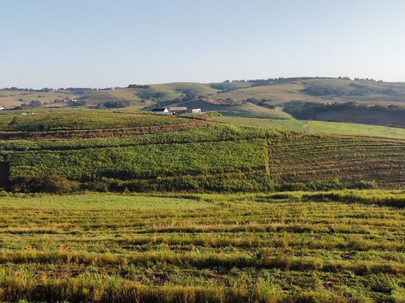 Direct from the Developer - No Transfer Duty - Photo 10