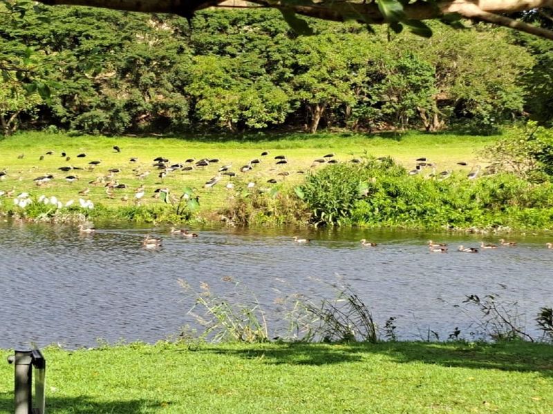 Direct from the Developer - No Transfer Duty - Photo 9