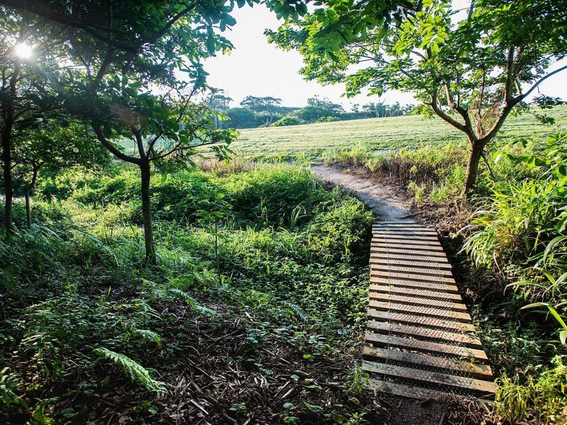 Direct from the Developer - No Transfer Duty - Photo 8