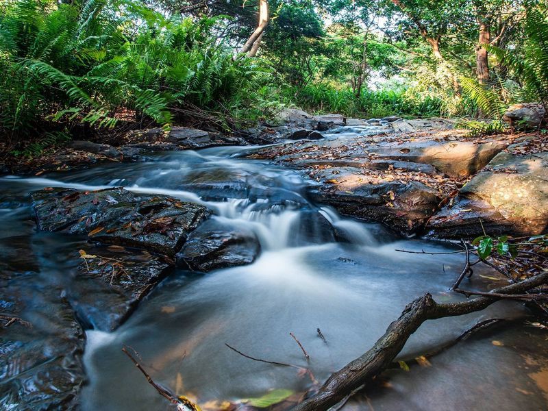 Direct from the Developer - No Transfer Duty - Photo 7