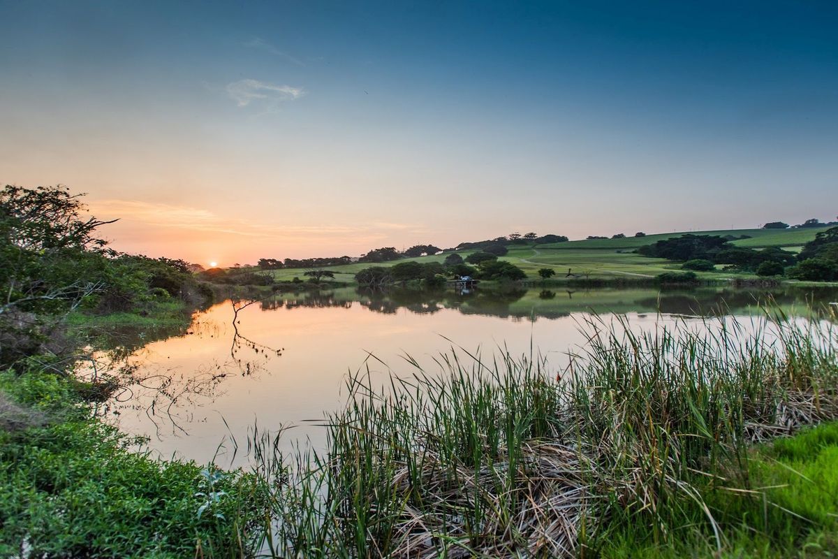 Direct from the Developer - No Transfer Duty - Photo 5