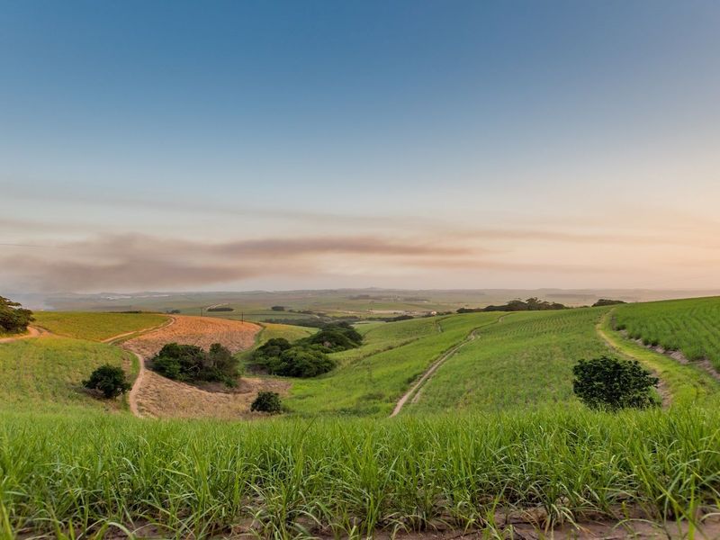 Direct from the Developer - No Transfer Duty - Photo 10