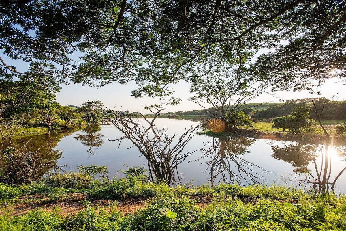 Farm 133, Fairview Estates with approved plans - Photo 2