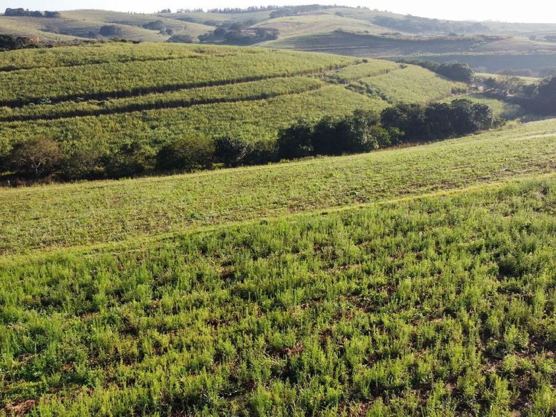 Farm 133, Fairview Estates with approved plans - Photo 10