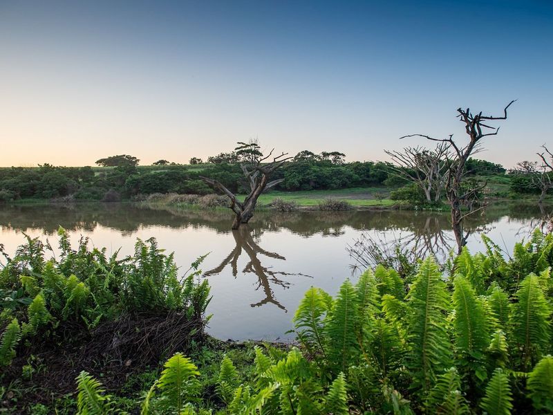 Farm 133, Fairview Estates with approved plans - Photo 8