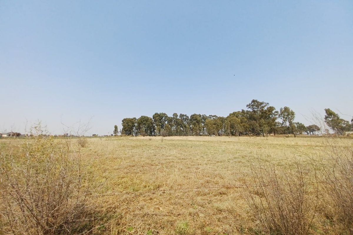 Investment opportunity - Photo 2