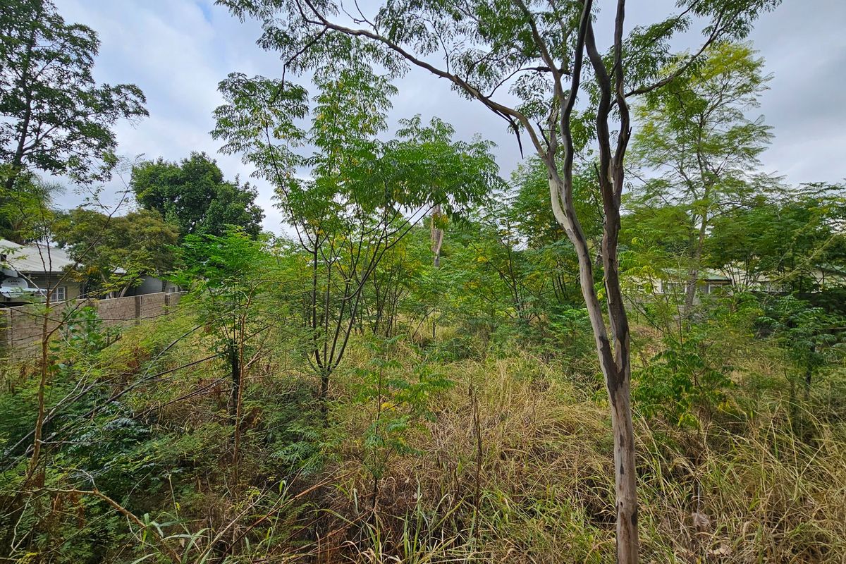 Vacant stand Rezoned for 10 Townhouses in Polokwane CBD - Photo 3