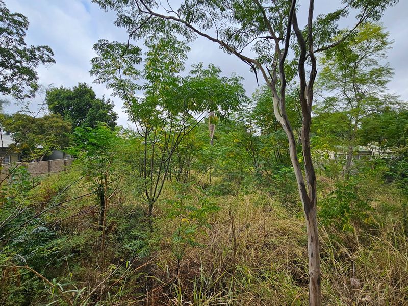 Vacant stand Rezoned for 10 Townhouses in Polokwane CBD - Photo 3