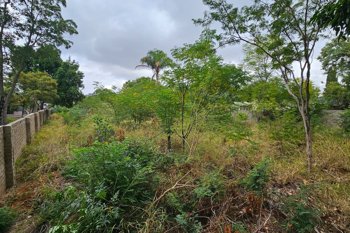 Vacant stand Rezoned for 10 Townhouses in Polokwane CBD - Photo 2