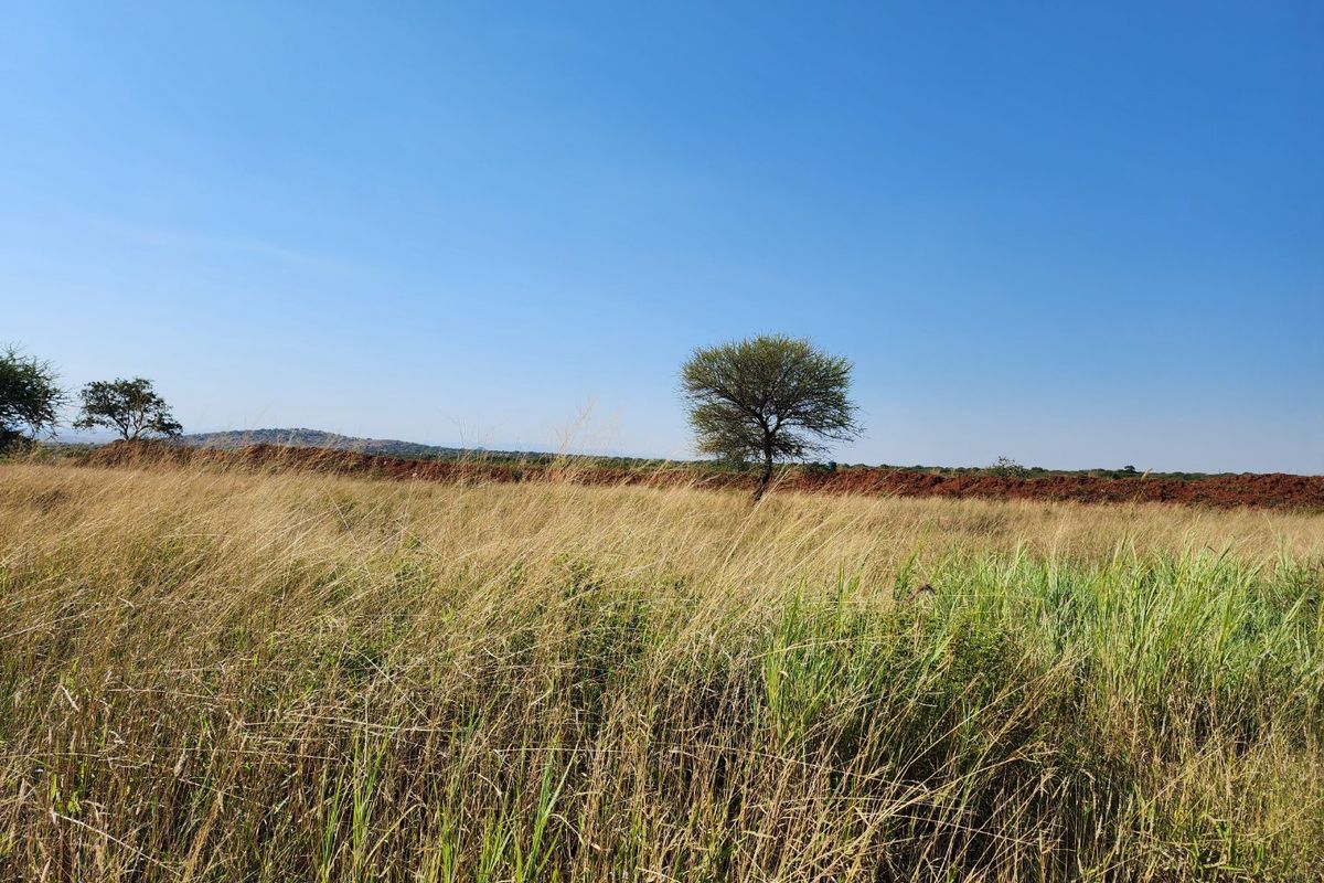 8.5ha Agricultural Plots for Sale | Prime Location Along R71 | 62 Plots Available - Photo 3