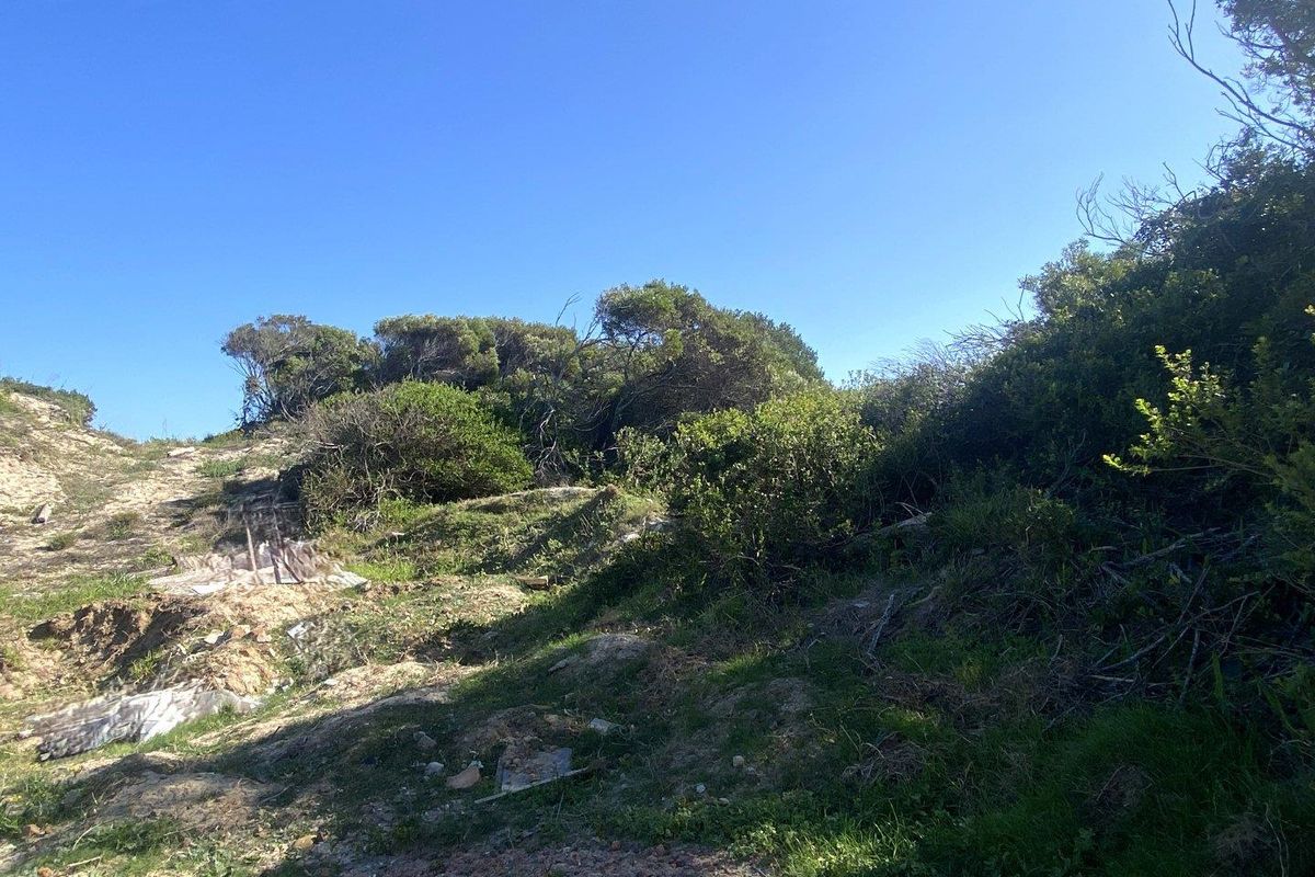 A view of the vacant residential land featuring natural coastal vegetation and sloping terrain.