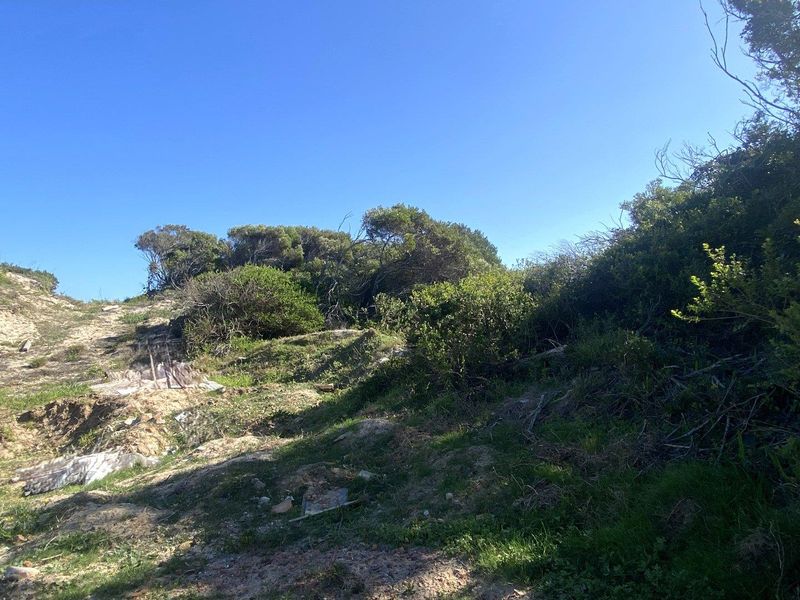 A view of the vacant residential land featuring natural coastal vegetation and sloping terrain.