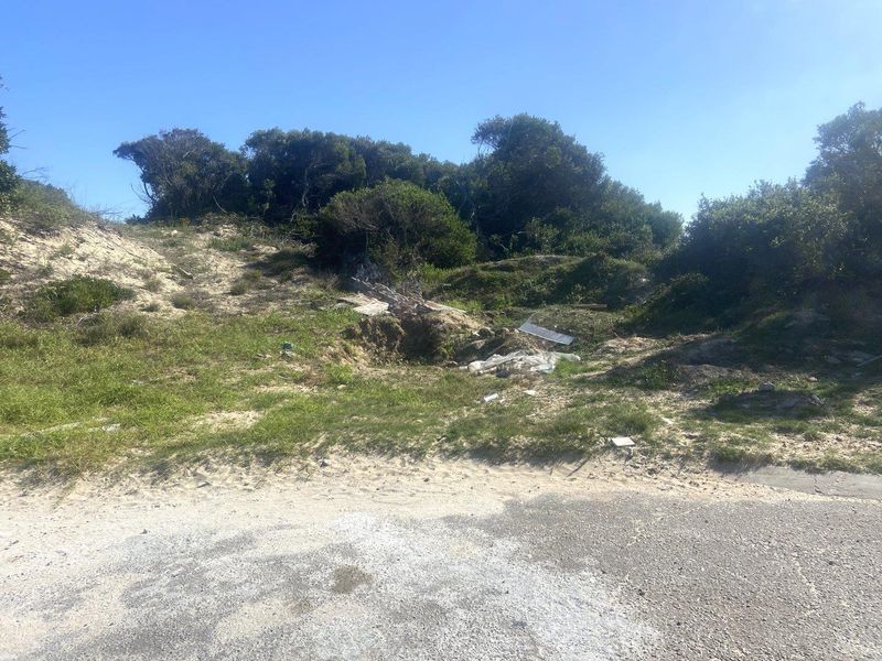 A vacant residential plot featuring natural coastal dune vegetation and direct street access, offering a blank canvas for future development.