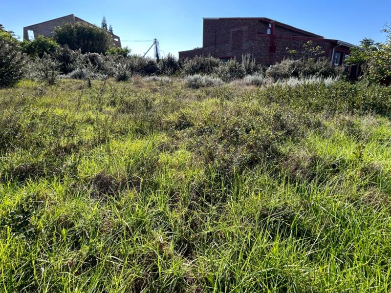A view of an overgrown, unimproved residential plot of land with surrounding vegetation and neighboring structures visible in the background.