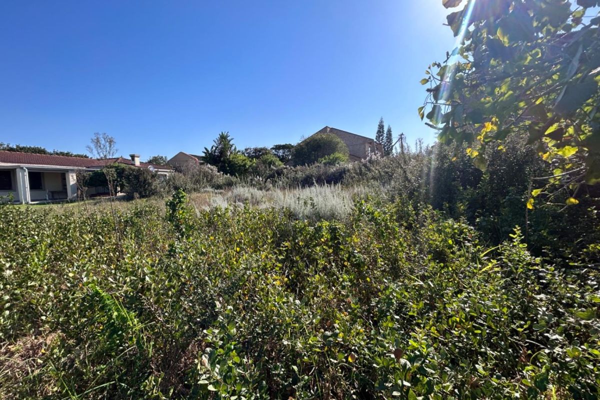 A view of a residential vacant land plot featuring dense, overgrown vegetation and established shrubs under a clear blue sky.