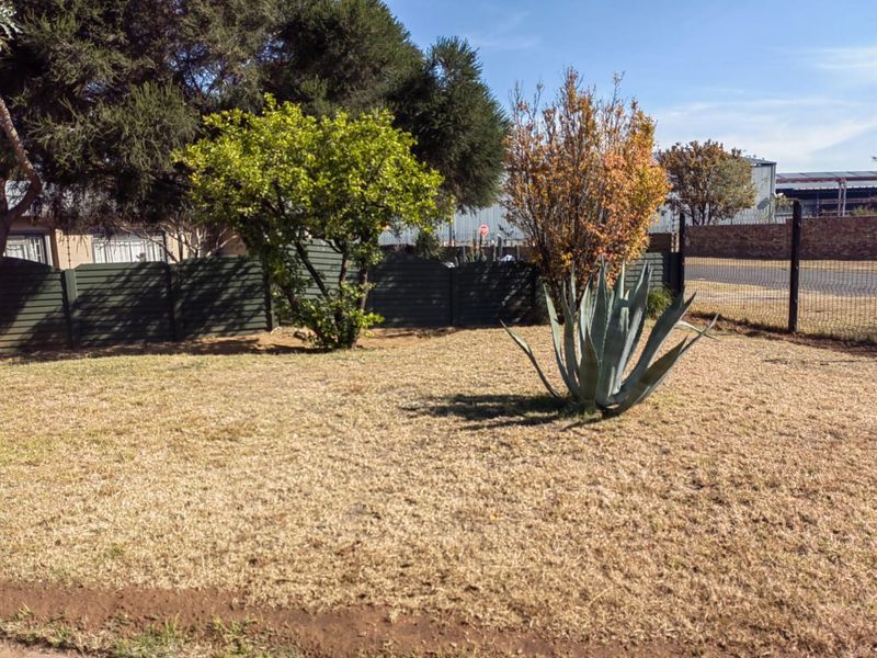 What a stunner!  Priced to go! - Photo 4