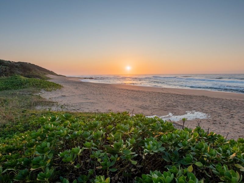 A scenic view of the coastline featuring sandy beach, coastal vegetation, and ocean waves at sunset.