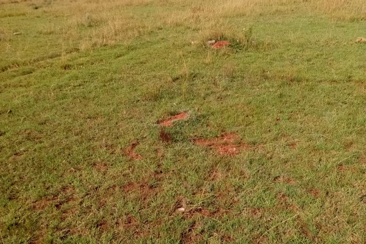 Vacant land for sale in Rosashof - Photo 2