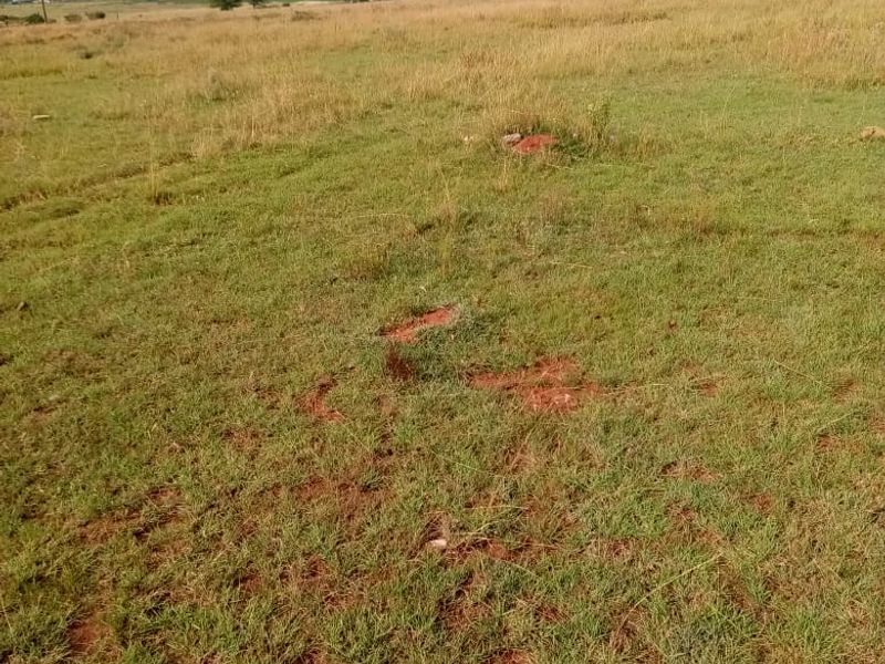 Vacant land for sale in Rosashof - Photo 2