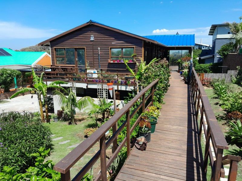 A raised timber walkway leading to the entrance of a timber-clad house with a blue metal roof and surrounding garden area.