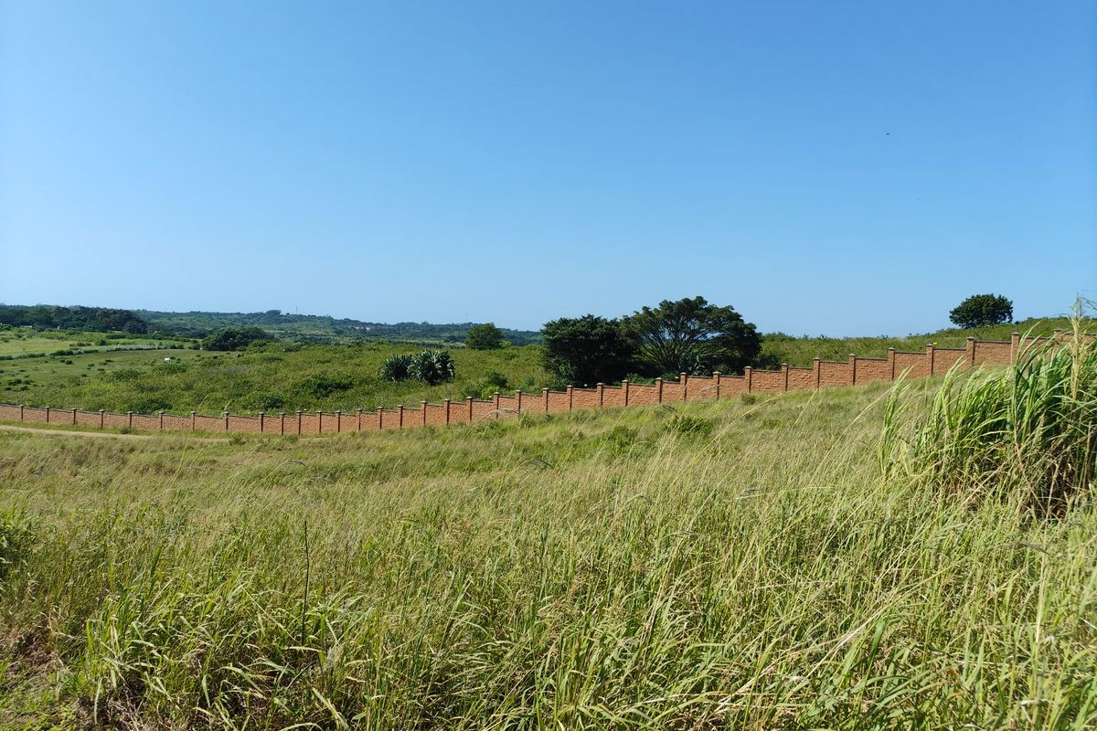 A view of a vacant residential plot featuring natural grassland and a long, perimeter brick boundary wall.