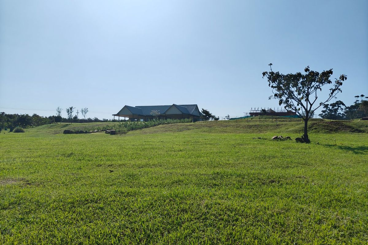 A wide-angle view of a residential property featuring a large, well-maintained grassy lawn and a distant dwelling structure under a clear blue sky.