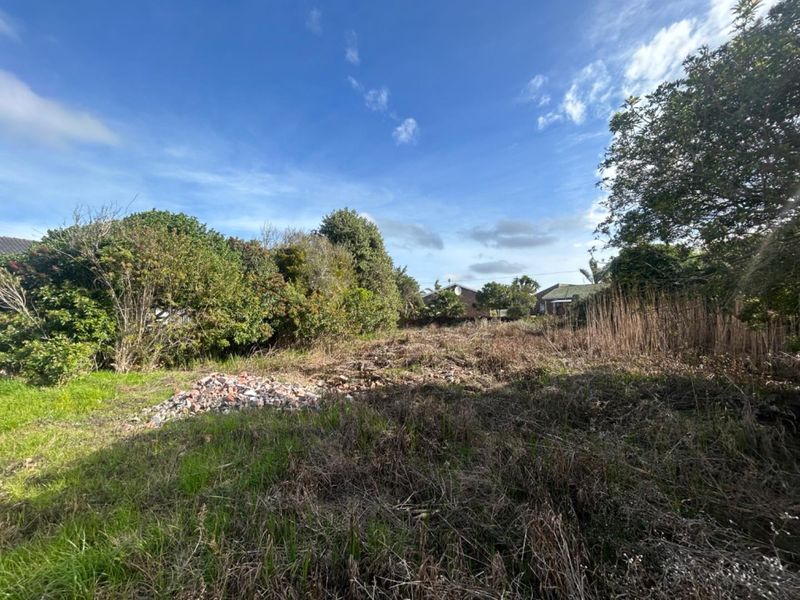 A view of a vacant residential plot featuring overgrown vegetation, mature trees, and a small pile of debris on the ground.