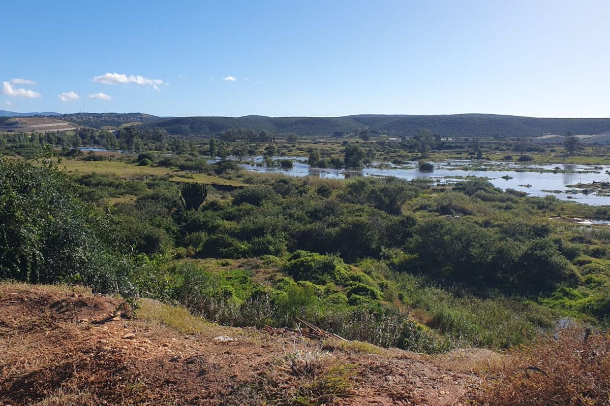 FARM/GRAZE LAND IN THE HEART OF MANOR HEIGHTS AVAILABLE! - Photo 4