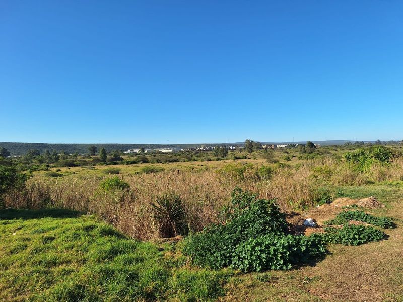 FARM/GRAZE LAND IN THE HEART OF MANOR HEIGHTS AVAILABLE! - Photo 10