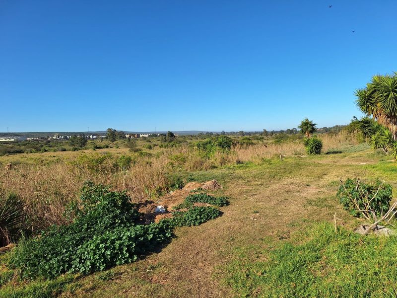 FARM/GRAZE LAND IN THE HEART OF MANOR HEIGHTS AVAILABLE! - Photo 8