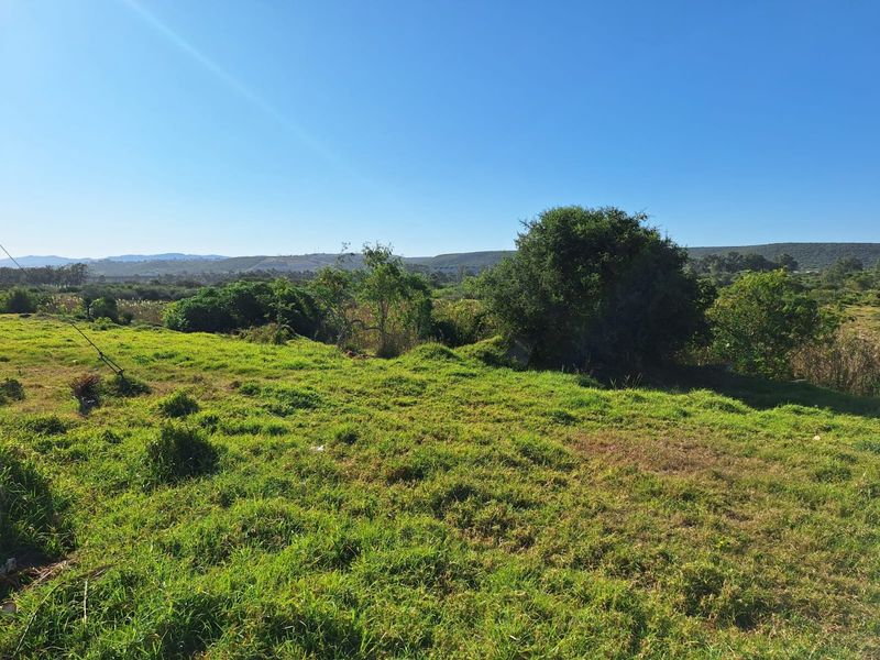 FARM/GRAZE LAND IN THE HEART OF MANOR HEIGHTS AVAILABLE! - Photo 9