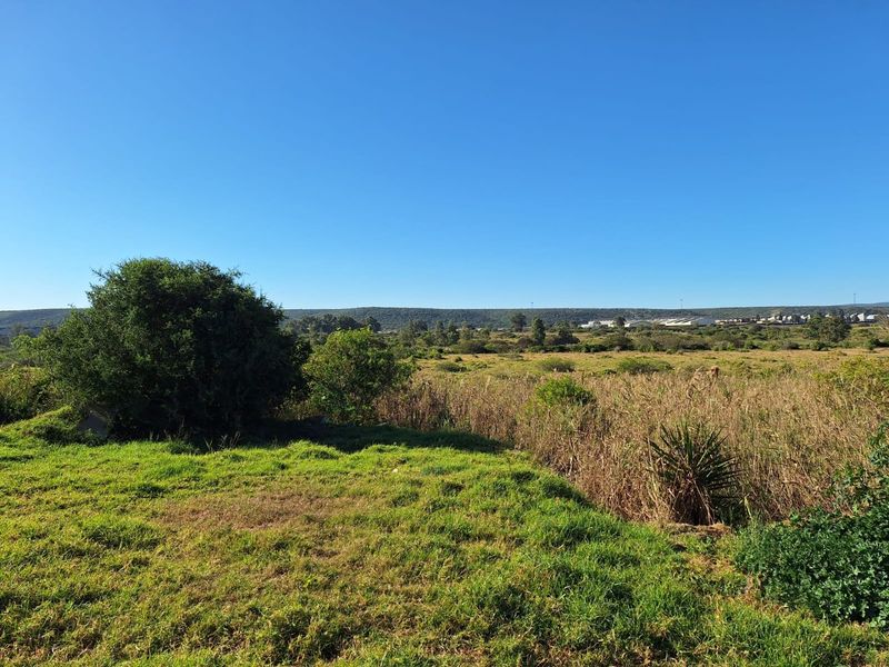 FARM/GRAZE LAND IN THE HEART OF MANOR HEIGHTS AVAILABLE! - Photo 7