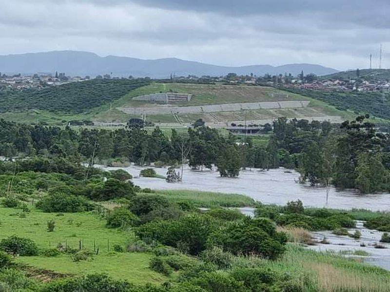 FARM/GRAZE LAND IN THE HEART OF MANOR HEIGHTS AVAILABLE! - Photo 6